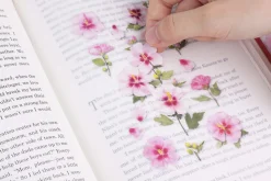 Rose of Sharon Pressed Flower Sticker