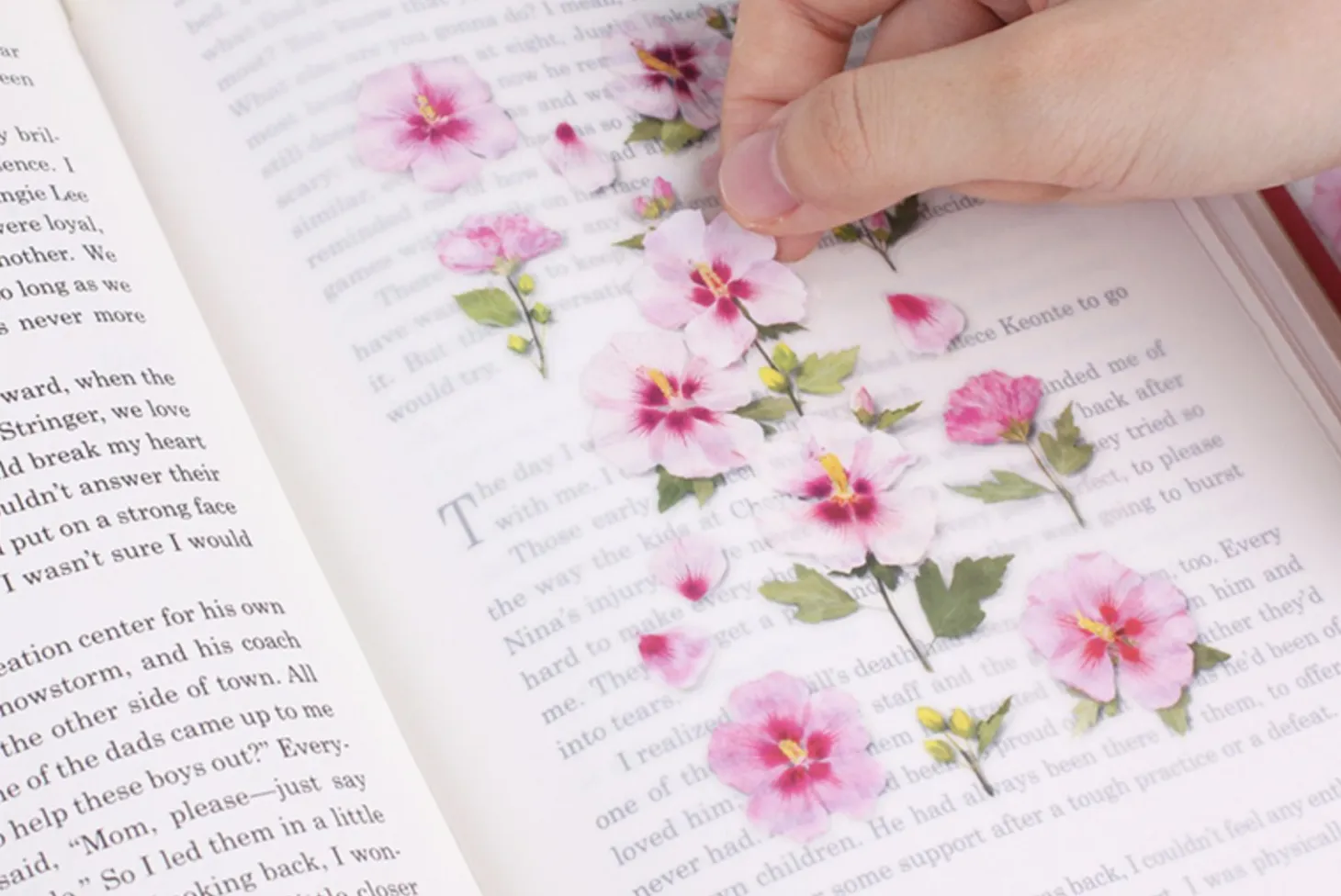 Rose of Sharon Pressed Flower Sticker
