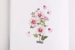 Rose of Sharon Pressed Flower Sticker