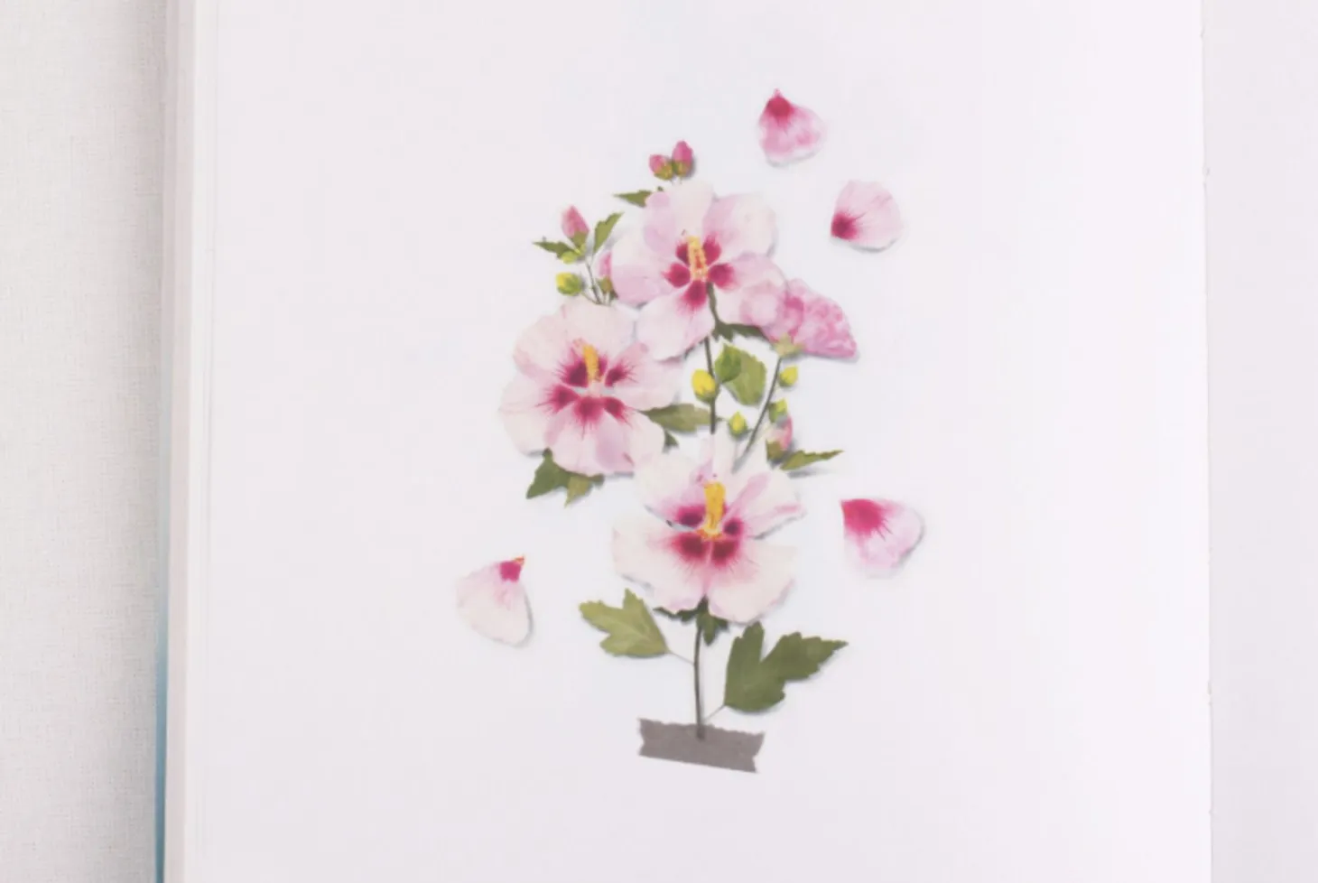 Rose of Sharon Pressed Flower Sticker