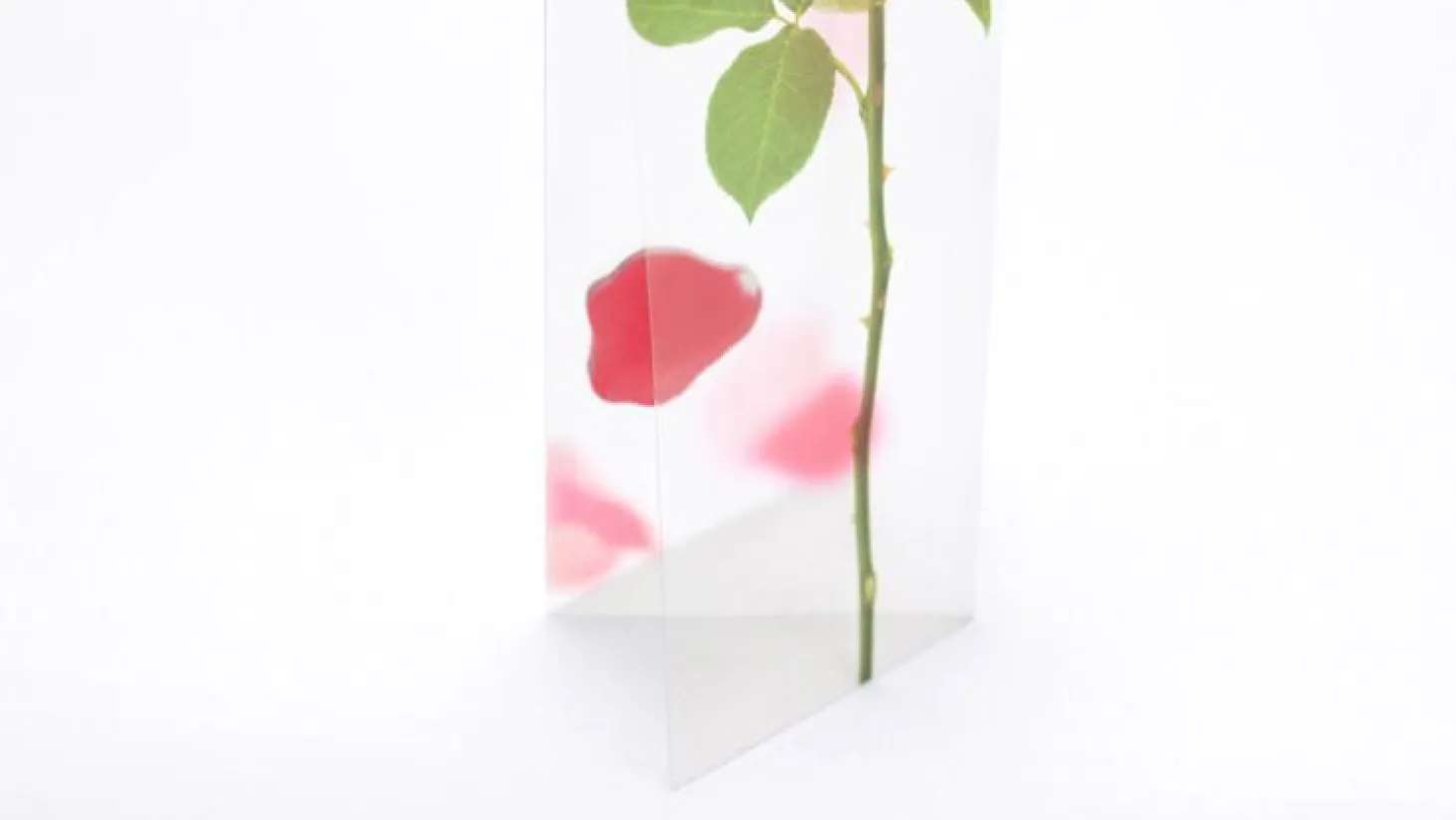 Rose Sticky Note