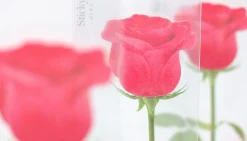 Rose Sticky Note