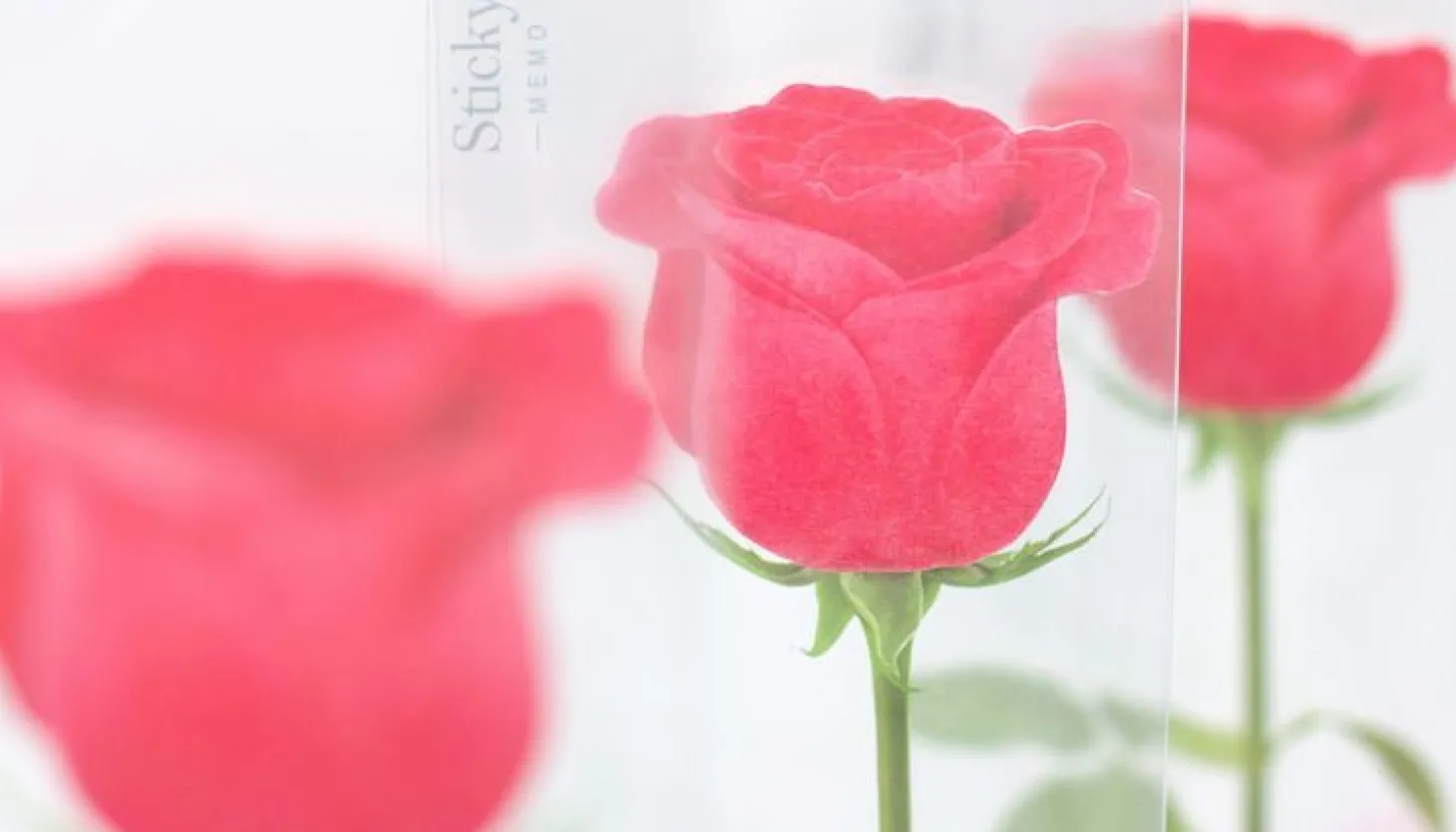 Rose Sticky Note
