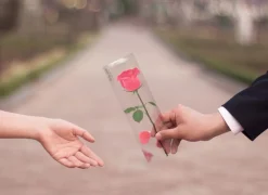 Rose Sticky Note
