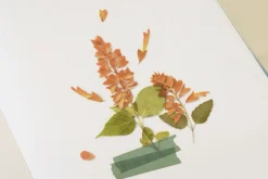 Salvia Pressed Flower Sticker