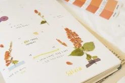 Salvia Pressed Flower Sticker