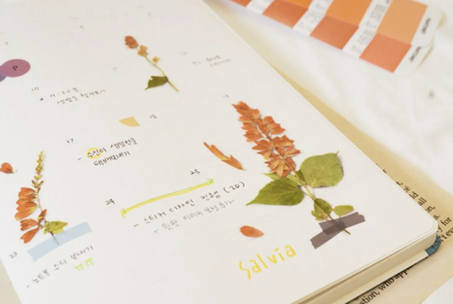 Salvia Pressed Flower Sticker