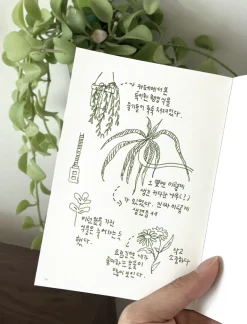 Satin M80 A6 Fountain Friendly Notebook