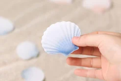 Scallop Sticky Note