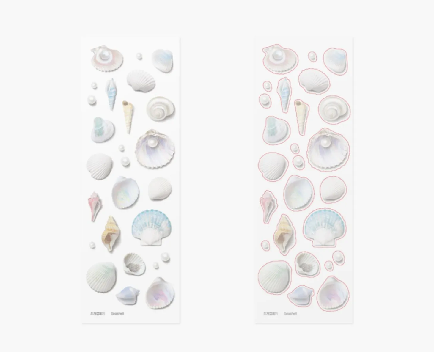 Seashell Nature Sticker