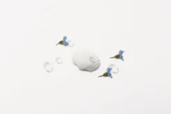 Seashell Nature Sticker