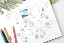 Seashell Nature Sticker