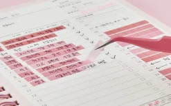 See-through Layer Color Sticker