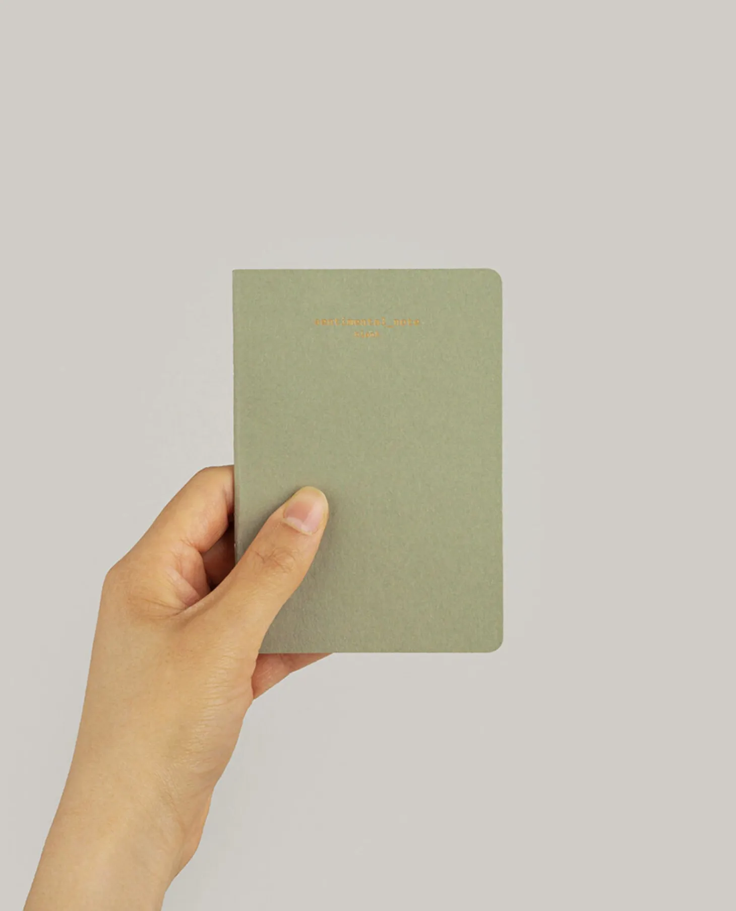 Sentimental Mini Plain Notebook