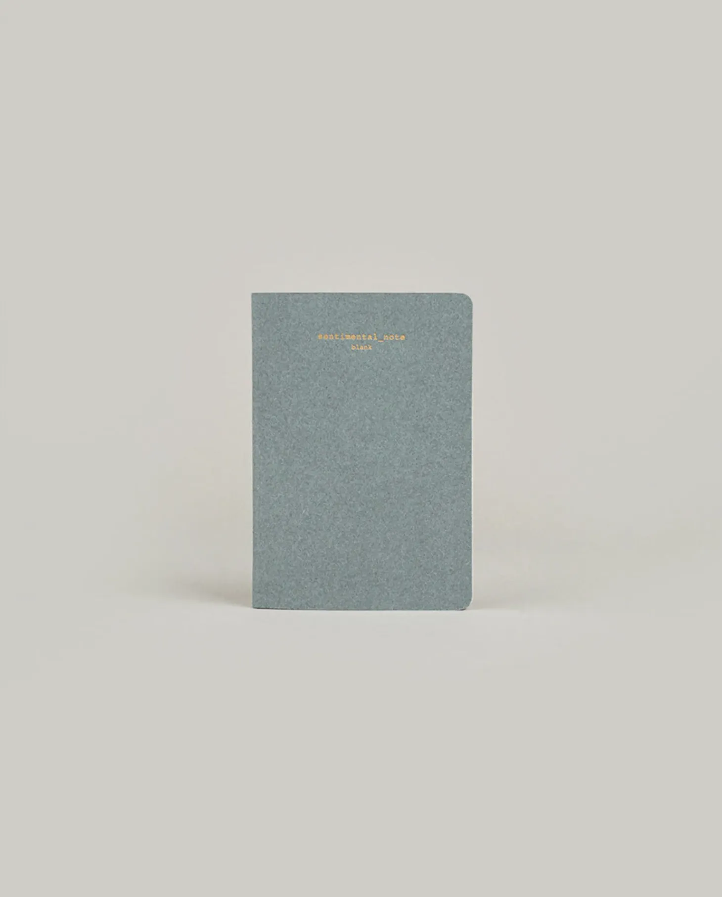 Sentimental Mini Plain Notebook