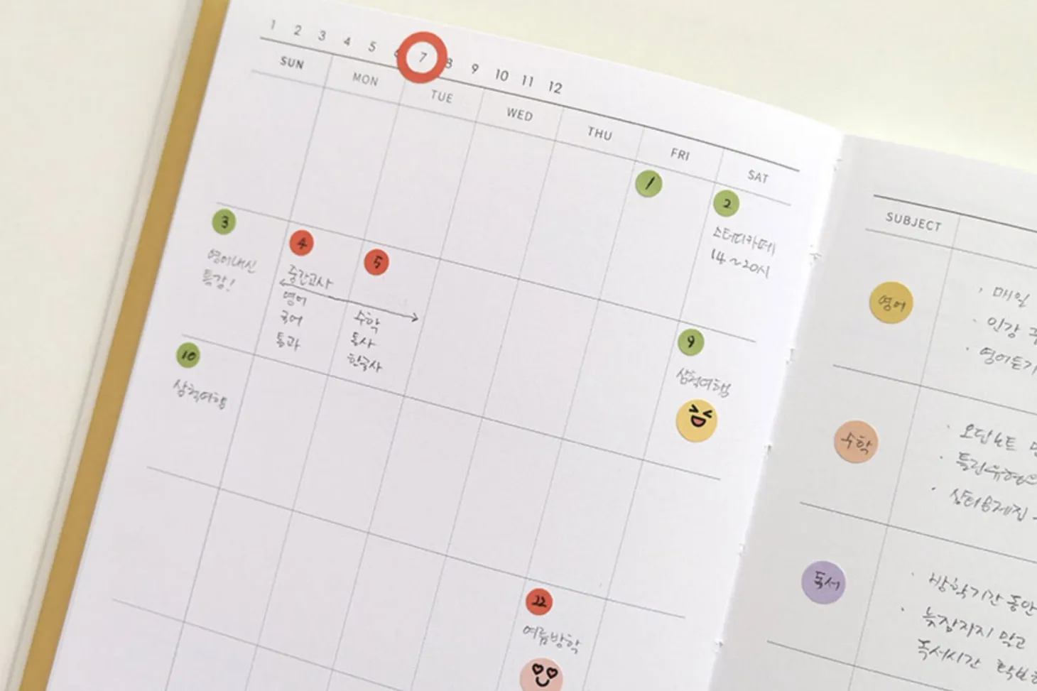 Simple Quarterly Study Planner
