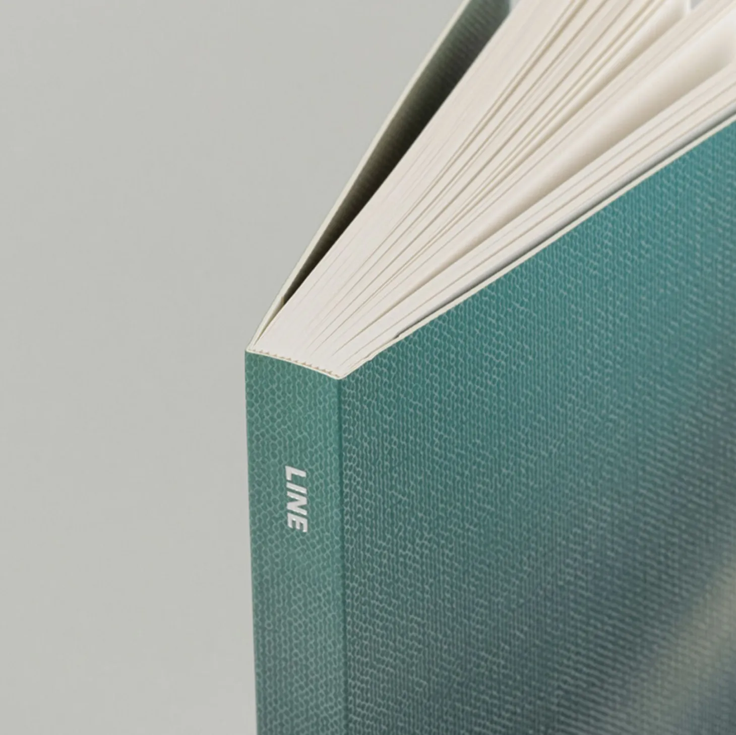 Small Aurora Life & Pieces Notebook