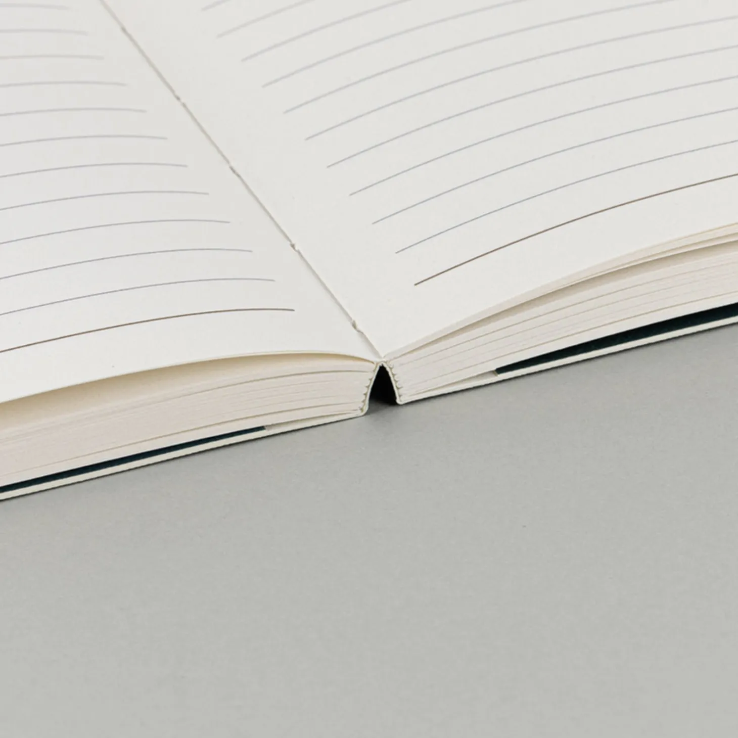 Small Aurora Life & Pieces Notebook