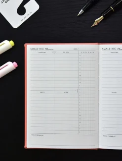 Small-Big Growth Planner