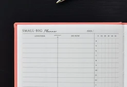 Small-Big Growth Planner