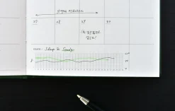 Small-Big Growth Planner