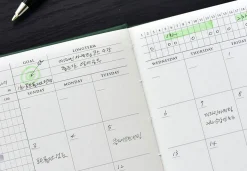 Small-Big Growth Planner