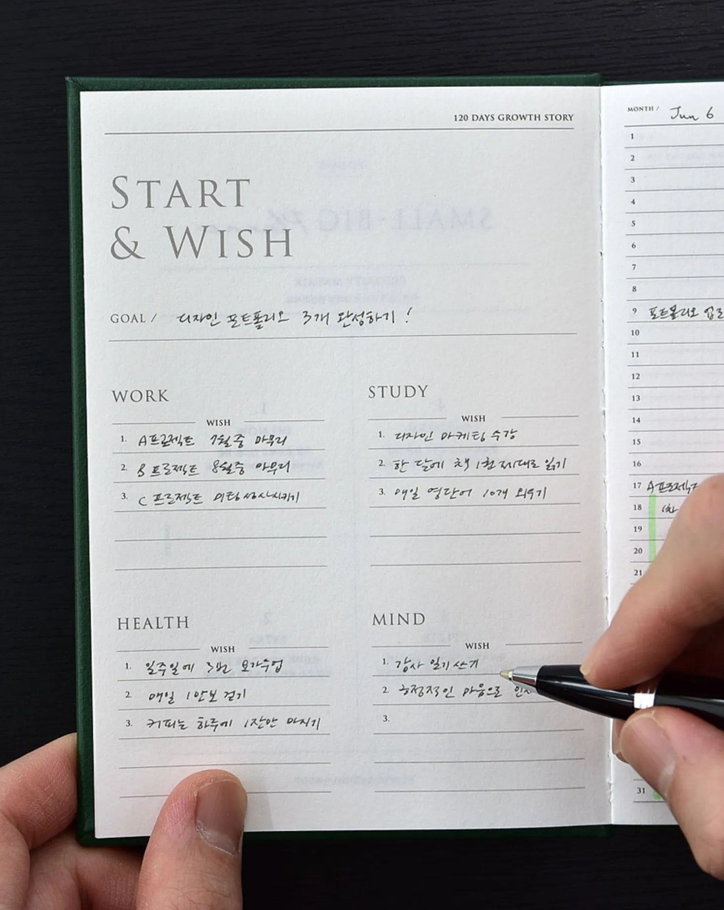 Small-Big Growth Planner