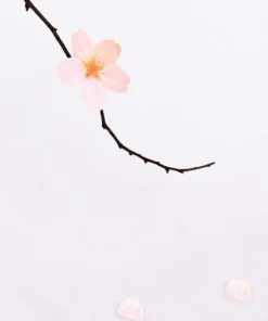 Small Cherry Blossom Sticky Note