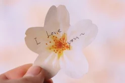 Small Cherry Blossom Sticky Note
