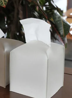 Small Leather Tissue Cover