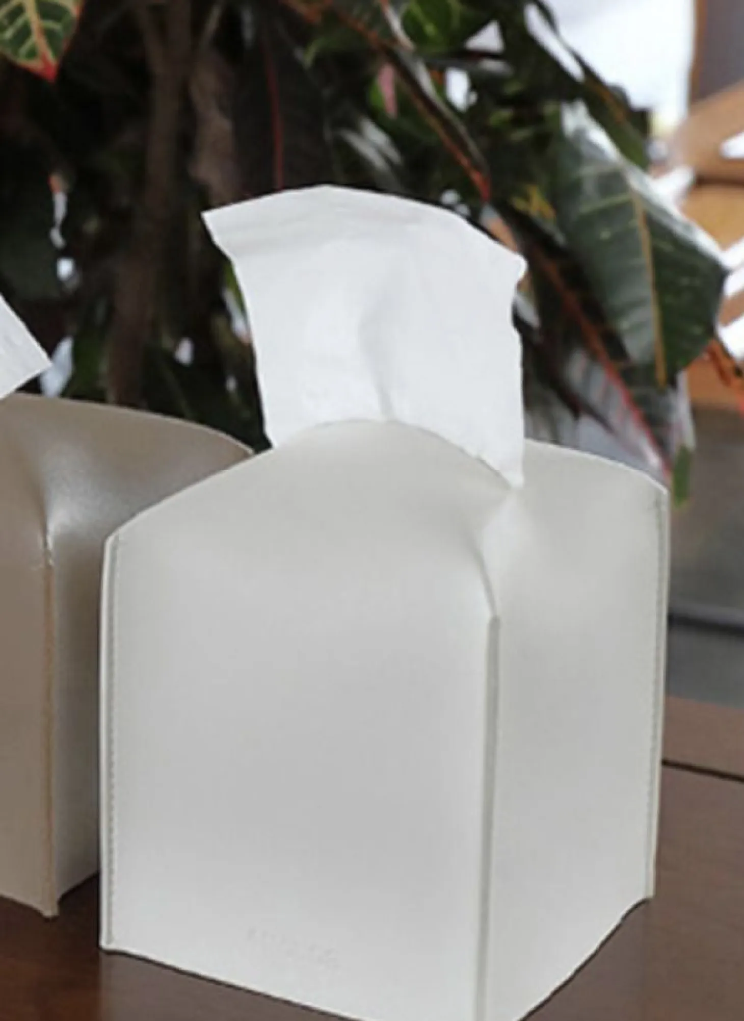 Small Leather Tissue Cover
