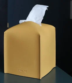 Small Leather Tissue Cover