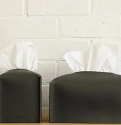 Small Leather Tissue Cover