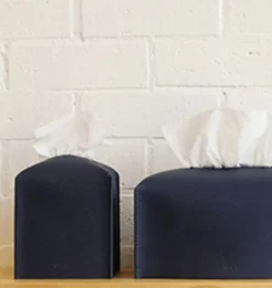 Small Leather Tissue Cover