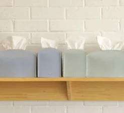 Small Leather Tissue Cover
