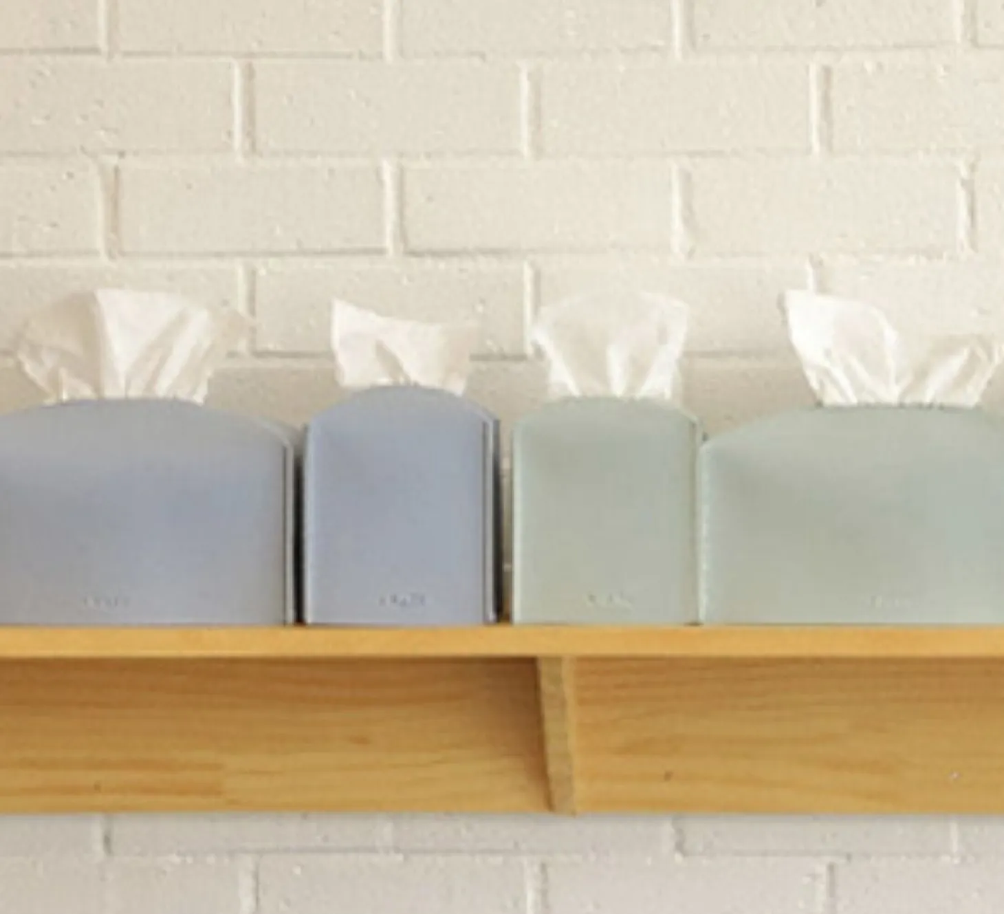 Small Leather Tissue Cover