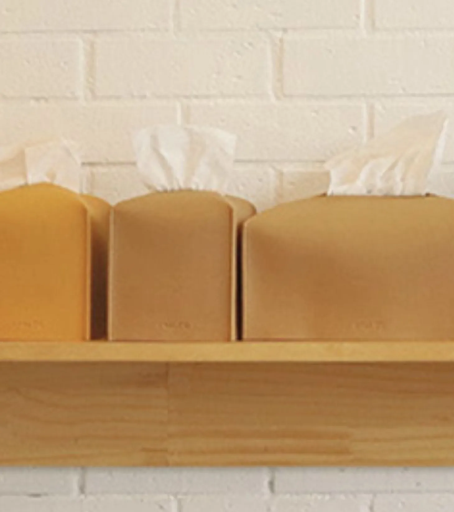 Small Leather Tissue Cover