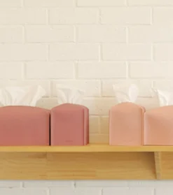 Small Leather Tissue Cover