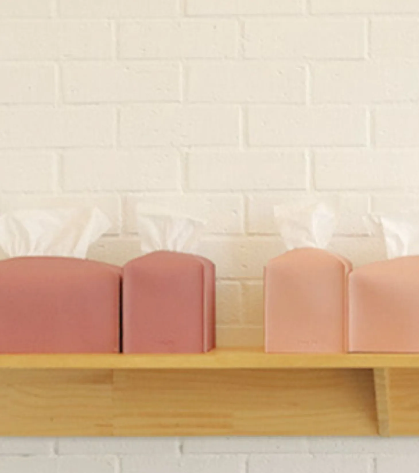 Small Leather Tissue Cover