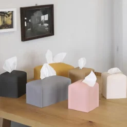 Small Leather Tissue Cover
