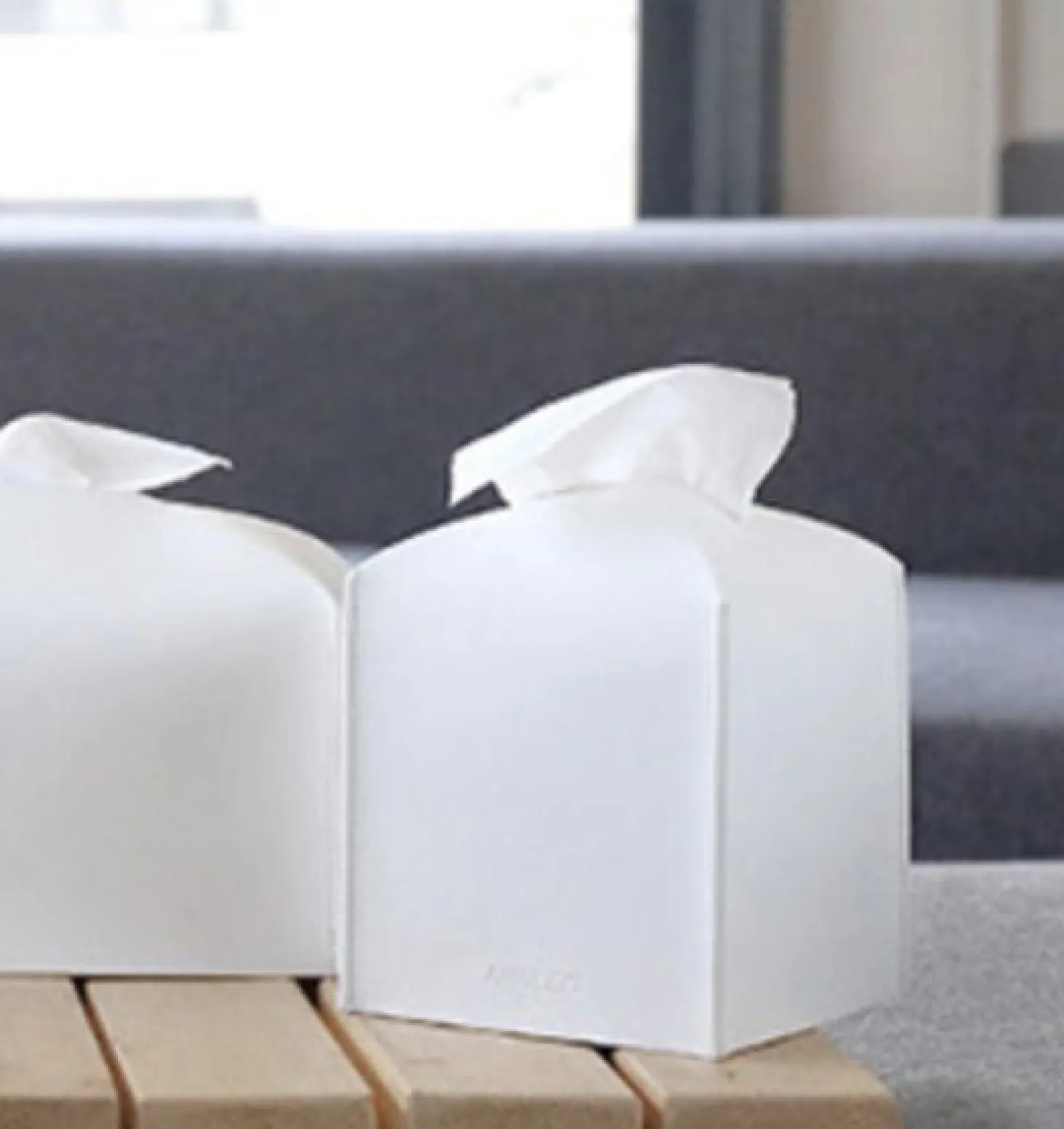 Small Leather Tissue Cover
