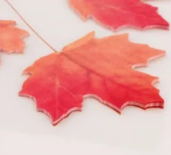 Small Maple Leaf Sticky Note