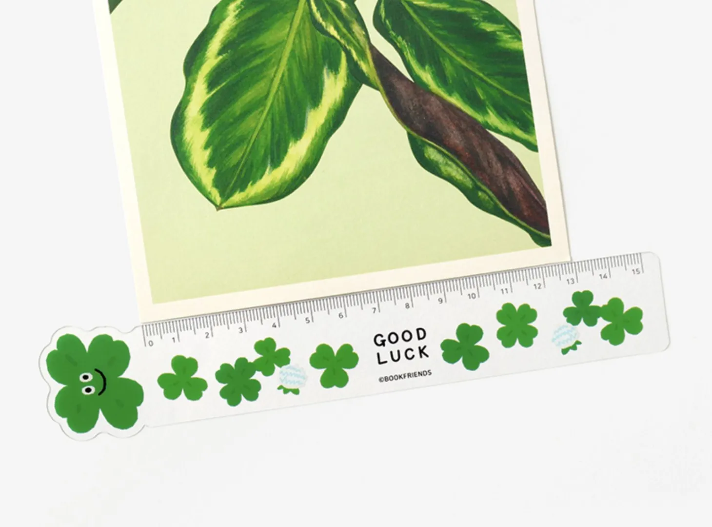 Smile Illustration Bookmark Ruler