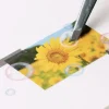 Soap Bubble Nature Sticker