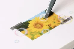 Soap Bubble Nature Sticker