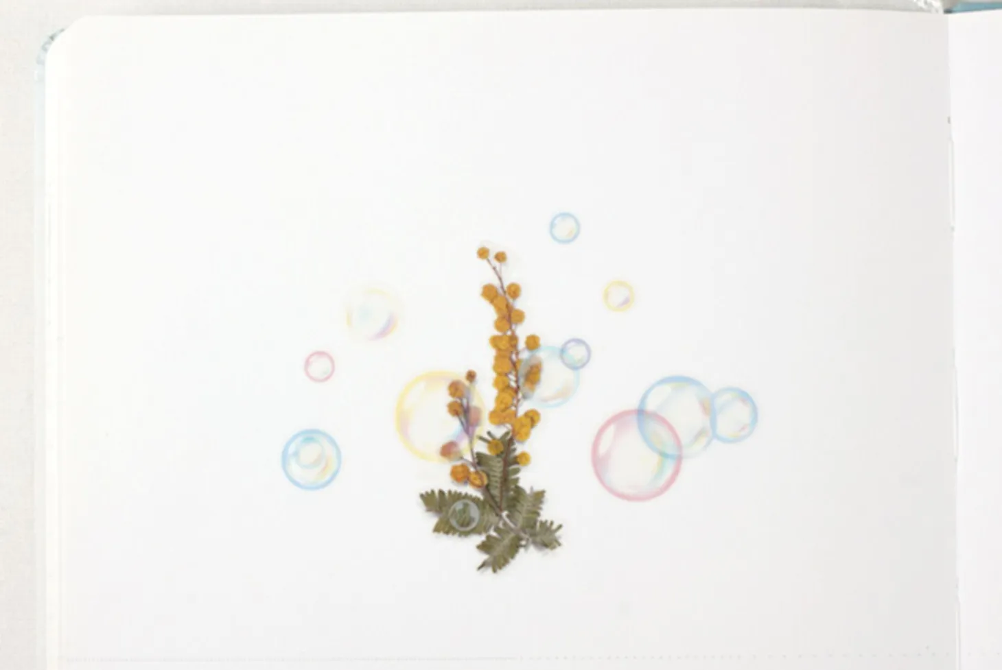 Soap Bubble Nature Sticker