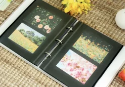 Solid Pastel Binder Photo Album