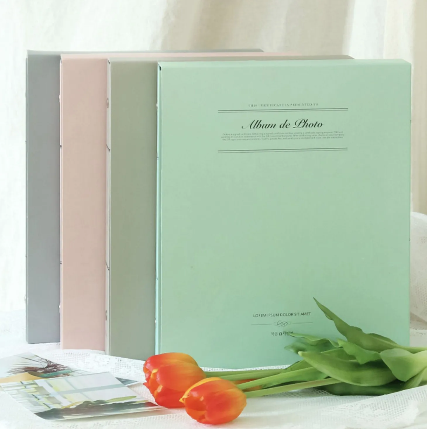 Solid Pastel Binder Photo Album