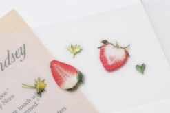 Strawberry Pressed Fruit Sticker