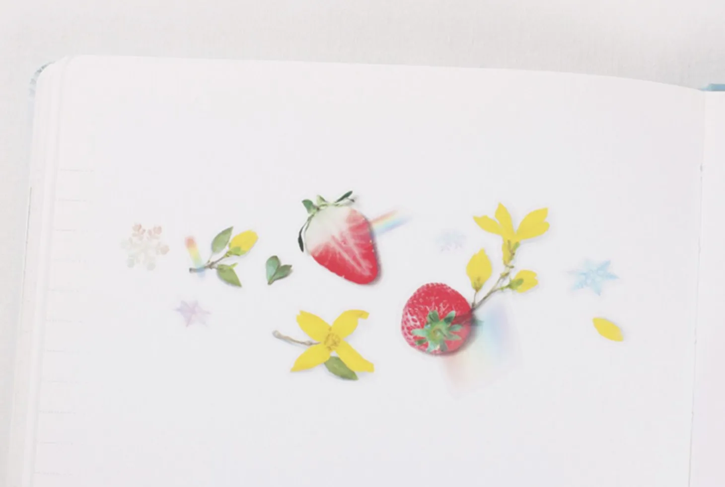 Strawberry Pressed Fruit Sticker